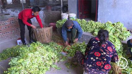 江安:“農超”對接疏通堵點 助力產品銷售