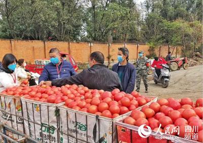 防疫情保運(yùn)力 攀枝花米易建立高效機(jī)制暢通“物資線”